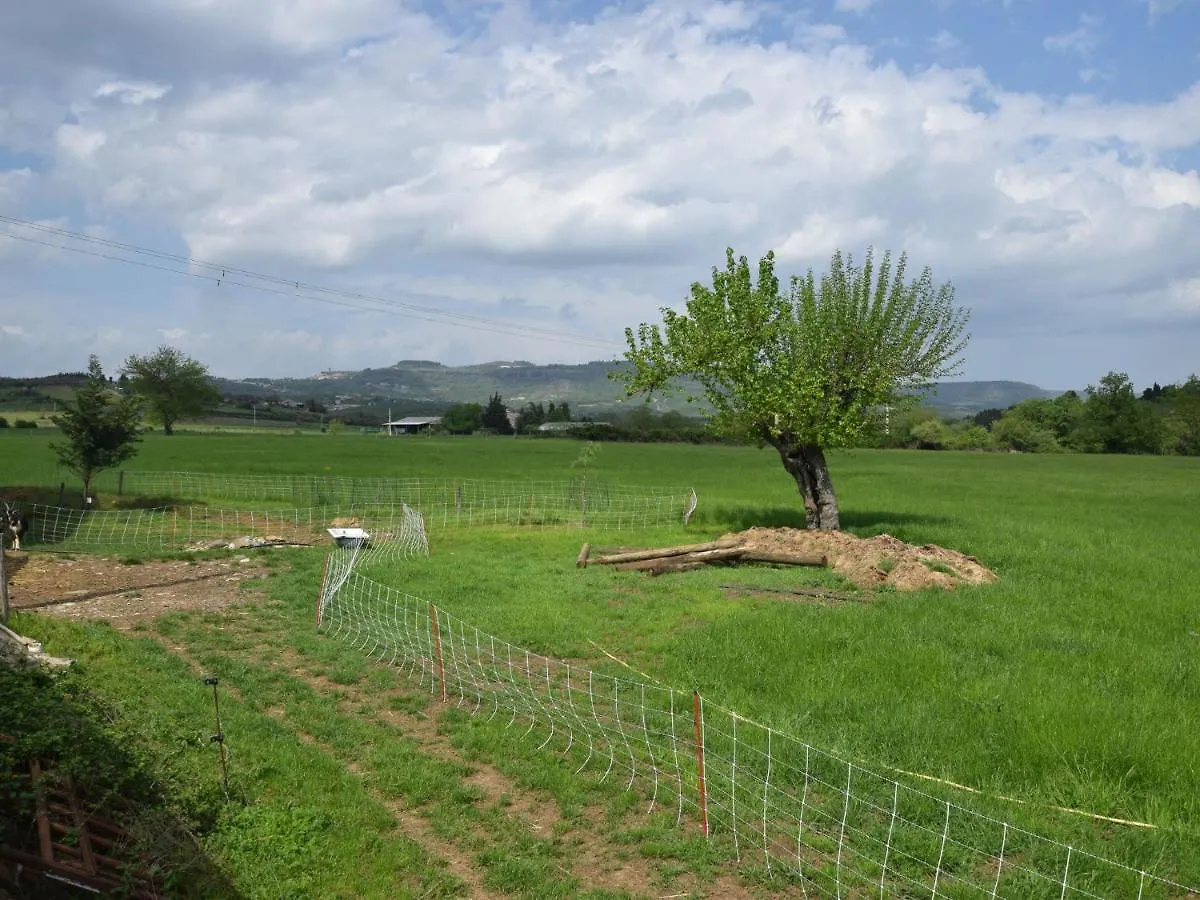 Charming Holiday Home In Mirabel With Pool France